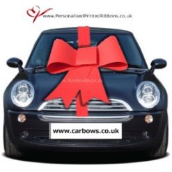 Big Card Budget Bow With Ribbon To Wrap The Car