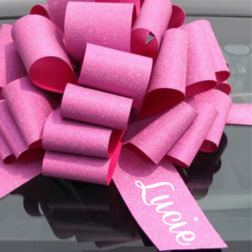 Big Pink Personalised Car Bows