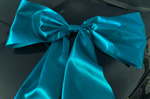 Teal Car Bow